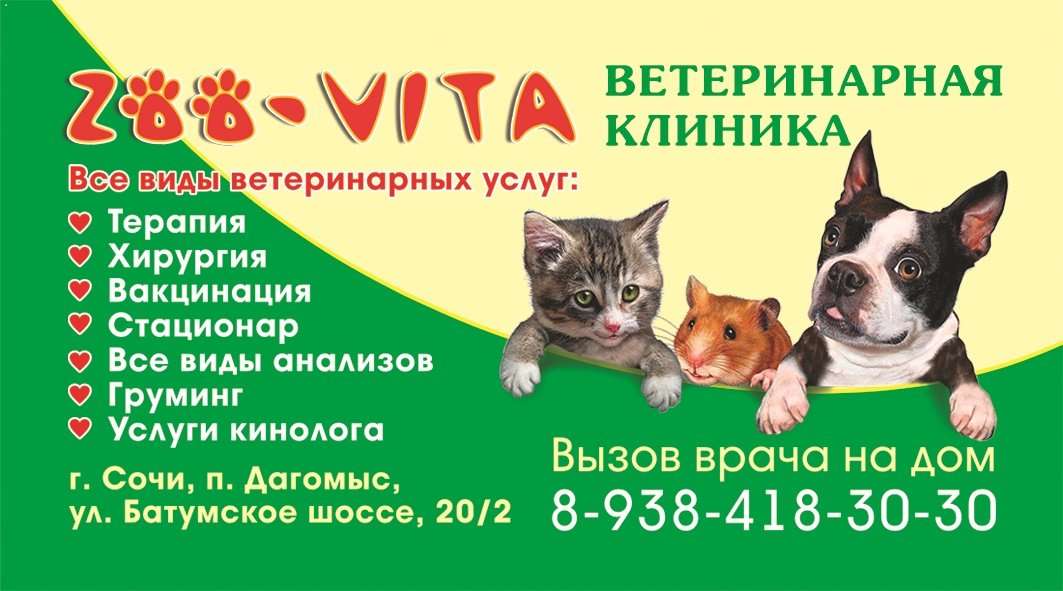 Ветеринарные Клиники Круглосуточные